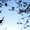 ユーザーのアイコン画像