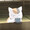 ユーザーのアイコン画像