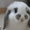 ユーザーのアイコン画像