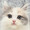 ユーザーのアイコン画像