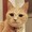 NATSUN