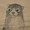 ユーザーのアイコン画像