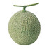 melon5541
