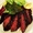 食い道楽machine