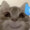 ユーザーのアイコン画像