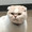 ユーザーのアイコン画像