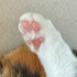 ねこみみろぐ