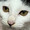 ユーザーのアイコン画像