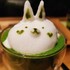 usagiyoyo