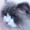 ユーザーのアイコン画像