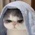 みくの一皿
