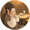 ユーザーのアイコン画像