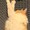 ユーザーのアイコン画像