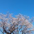 のりのりすけ (改)