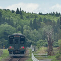 yama1271