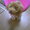 maron0506