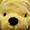 yoshimin.y