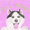 シルたん