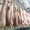食肉加工を夢見る工場長