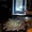koba_619