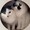 まぃまぃ＠