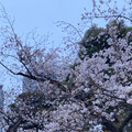 サンダル履き