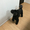 mihoo12060502