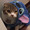 もげりん