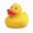 Good Duck!