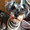tirot