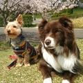 みっちー&バルト