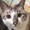 ユーザーのアイコン画像