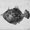 file fish