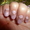 elcon8989