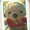 mipooh
