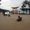 renbee