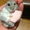 ユーザーのアイコン画像