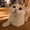 ユーザーのアイコン画像