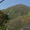 三角山眠り猫