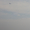 あずあず77