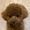 toys0705