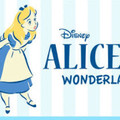 alice0507