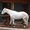Nearco(ITY)