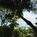 Na0626ya