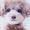 miopon