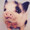 nickjagger922