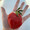 yumi_ gourmet