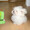 ユーザーのアイコン画像