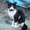 猫おじさん
