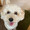 ユーザーのアイコン画像